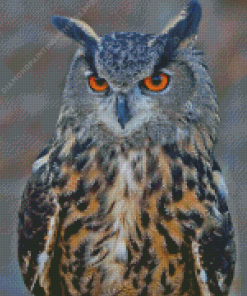 Eurasian Eagle Owl Bird Diamond Painting