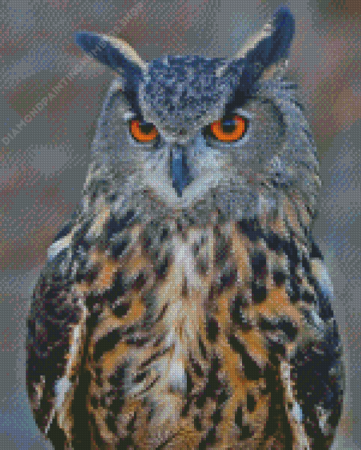 Eurasian Eagle Owl Bird Diamond Painting