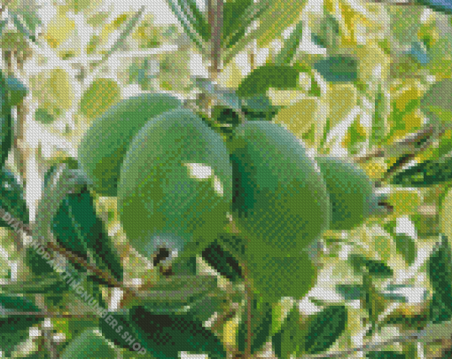 Feijoa Tree Diamond Painting