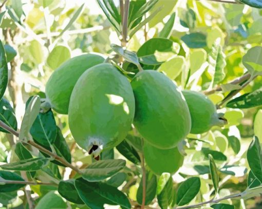 Feijoa Tree Diamond Painting