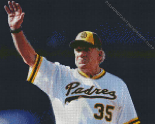 Former Baseballer Randy Jones Diamond Painting