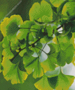 Ginkgo Green Leaves Diamond Painting