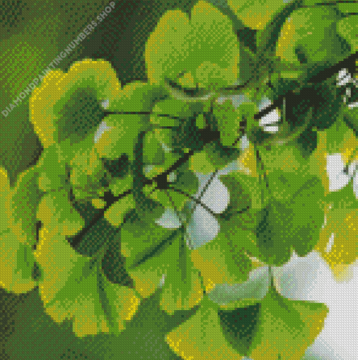 Ginkgo Green Leaves Diamond Painting