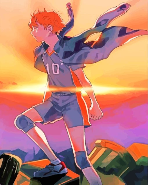 Hinata Shoyo Haikyuu Diamond Painting