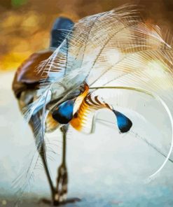 Lyrebird Back Tail Diamond Painting