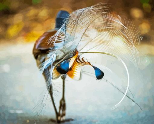 Lyrebird Back Tail Diamond Painting