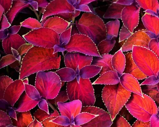 Maroon Plant Leaves Diamond Painting