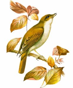 Nightingale On Branch Art Diamond Painting