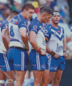 Nrl Bulldogs Diamond Painting