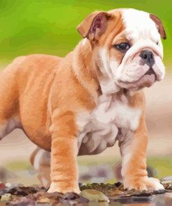 Old English Bulldog Puppy Diamond Painting