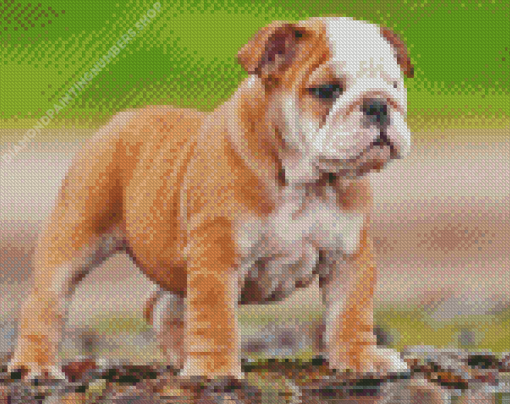 Old English Bulldog Puppy Diamond Painting