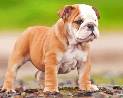 Old English Bulldog Puppy Diamond Painting