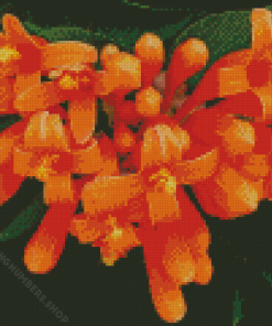 Orange Trumpet Vines Diamond Painting