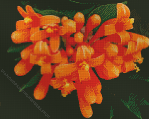 Orange Trumpet Vines Diamond Painting