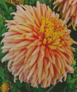 Peach Chrysanthemum Diamond Painting