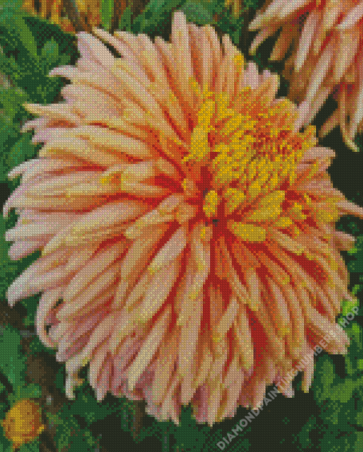 Peach Chrysanthemum Diamond Painting