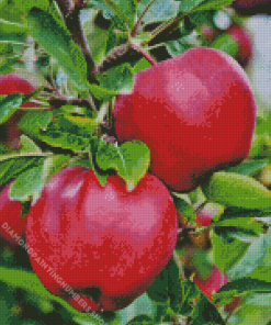 Pink Lady Apple Diamond Painting