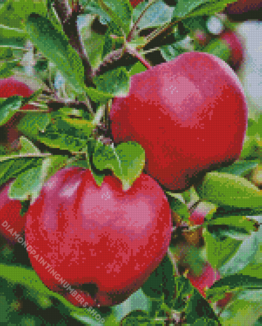 Pink Lady Apple Diamond Painting