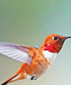 Rufous Hummingbird Side View Diamond Painting