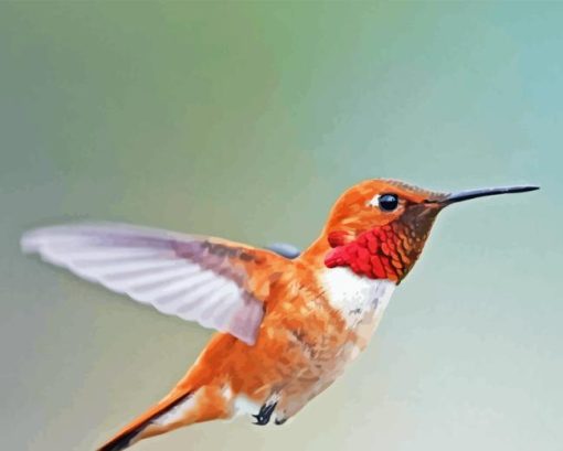 Rufous Hummingbird Side View Diamond Painting