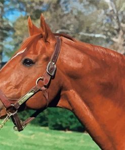 Secretariat Horse Diamond Painting