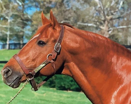 Secretariat Horse Diamond Painting