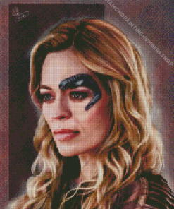 Seven Of Nine Art Diamond Paintings