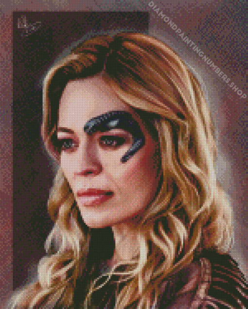 Seven Of Nine Art Diamond Paintings