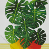 Swiss Cheese Plant In Plant Pot Diamond Painting