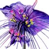 Tacca Chantrieri Bat Flowers Diamond Painting