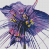 Tacca Chantrieri Bat Flowers Diamond Painting