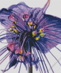 Tacca Chantrieri Bat Flowers Diamond Painting