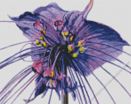 Tacca Chantrieri Bat Flowers Diamond Painting