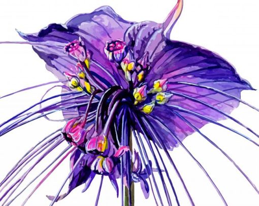 Tacca Chantrieri Bat Flowers Diamond Painting