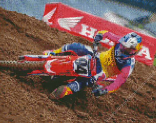 The Racer Ken Roczen Diamond Painting