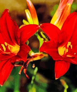 Western Red Lilies Diamond Painting