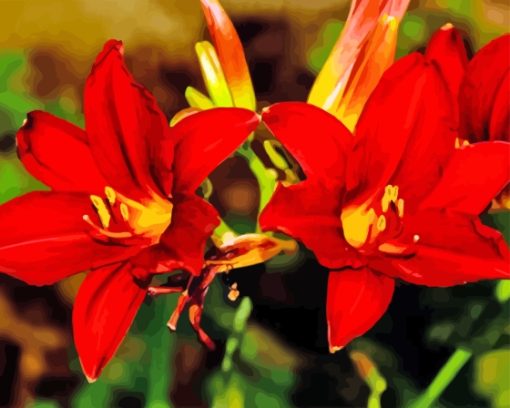 Western Red Lilies Diamond Painting