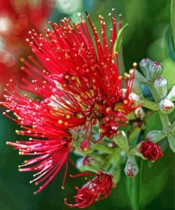 Aesthetic Pohutukawa Flower Diamond Painting