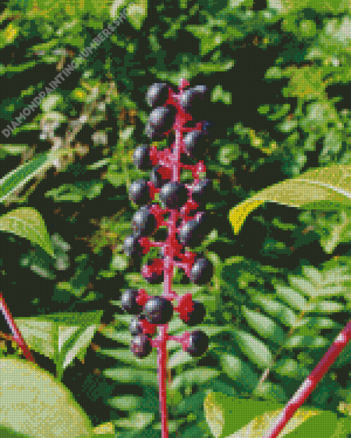 American Pokeweeds Plant Diamond Painting