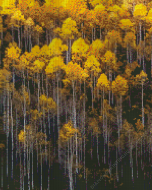 Aspens Trees Diamond Painting