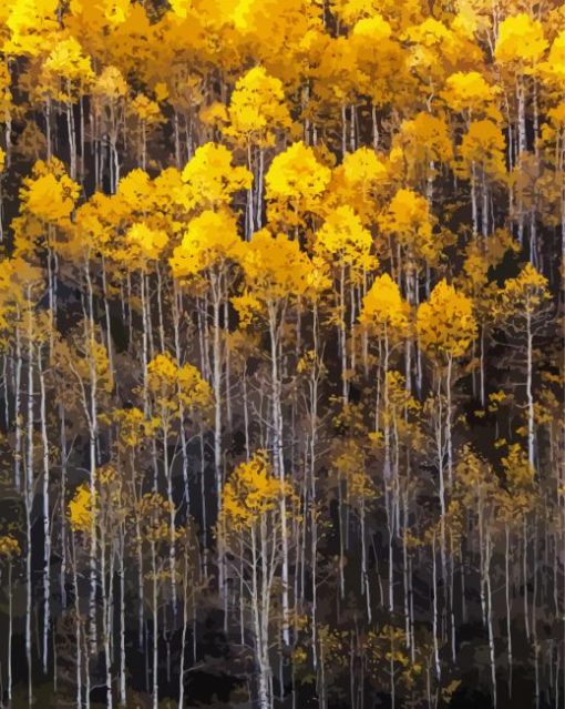 Aspens Trees Diamond Painting