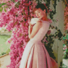 Audrey Hepburn Pink Dress Diamond Painting