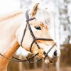 Beige Horse Head With Bridle Diamond Painting