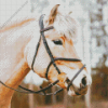 Beige Horse Head With Bridle Diamond Painting