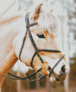 Beige Horse Head With Bridle Diamond Painting