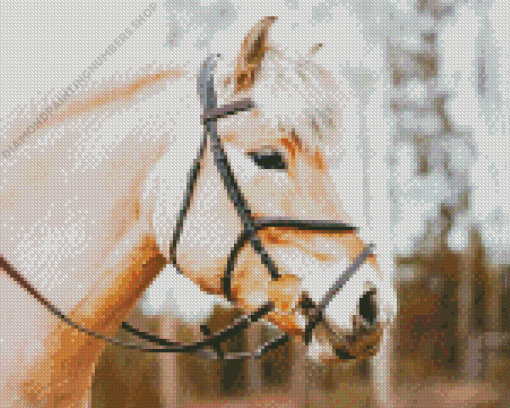 Beige Horse Head With Bridle Diamond Painting