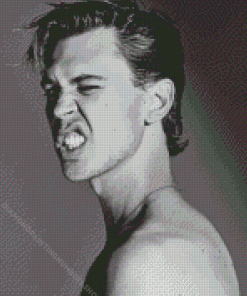 Black And White Austin Butler Diamond Painting