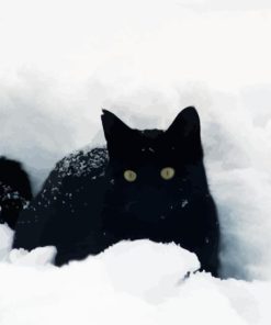 Black Cat Playing In Snow Diamond Painting