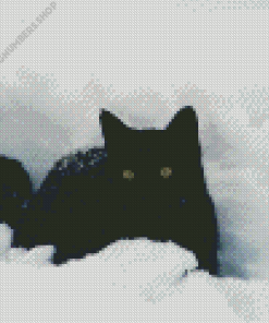 Black Cat Playing In Snow Diamond Painting