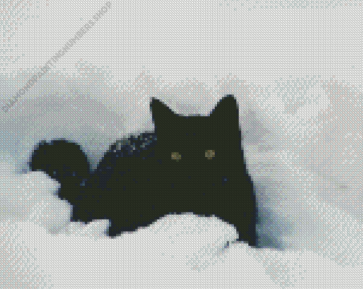 Black Cat Playing In Snow Diamond Painting